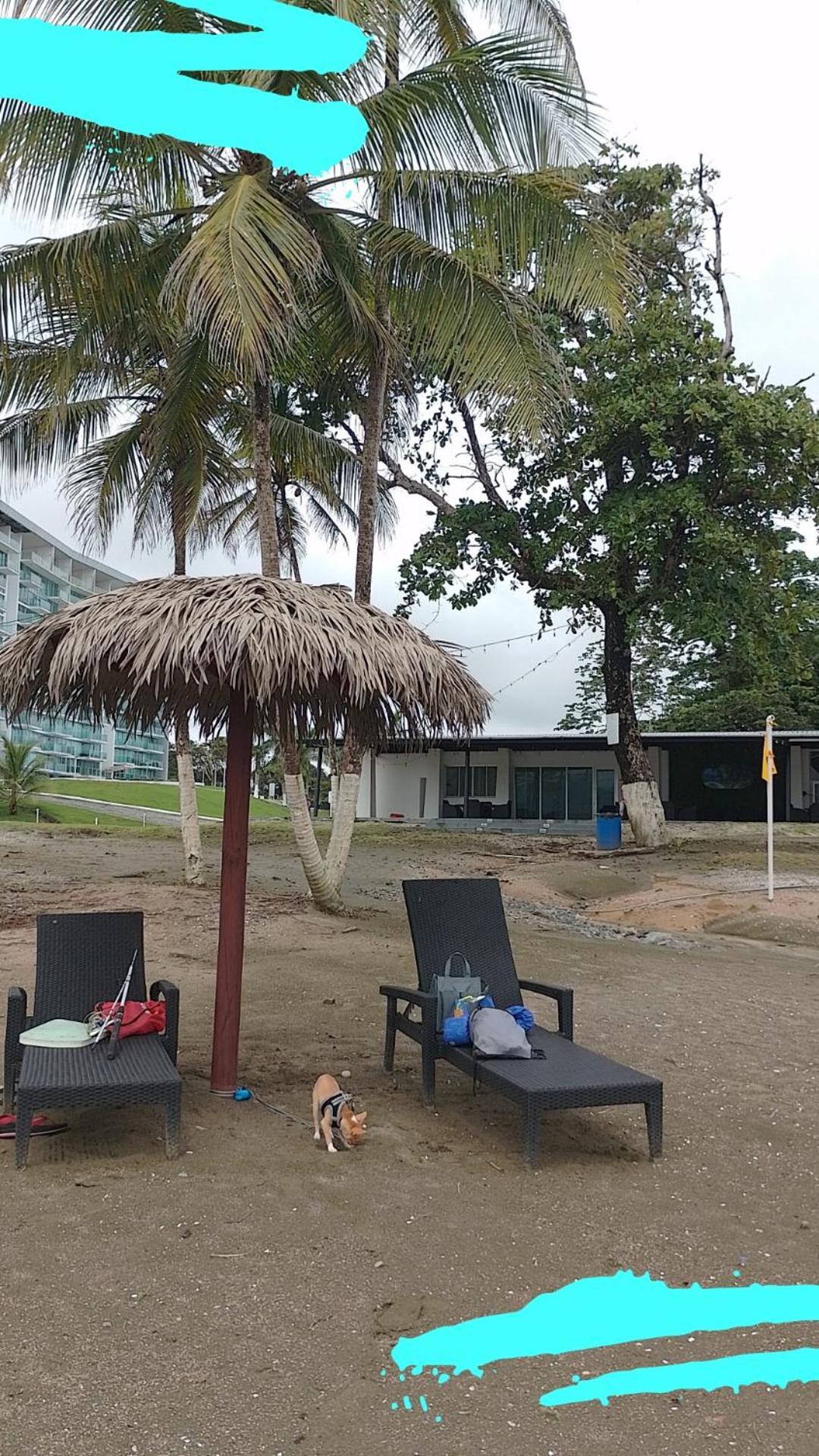 Apartamento En Balabeach Maria Chiquita In Front Of The Beach 2Hab Colón Szoba fotó