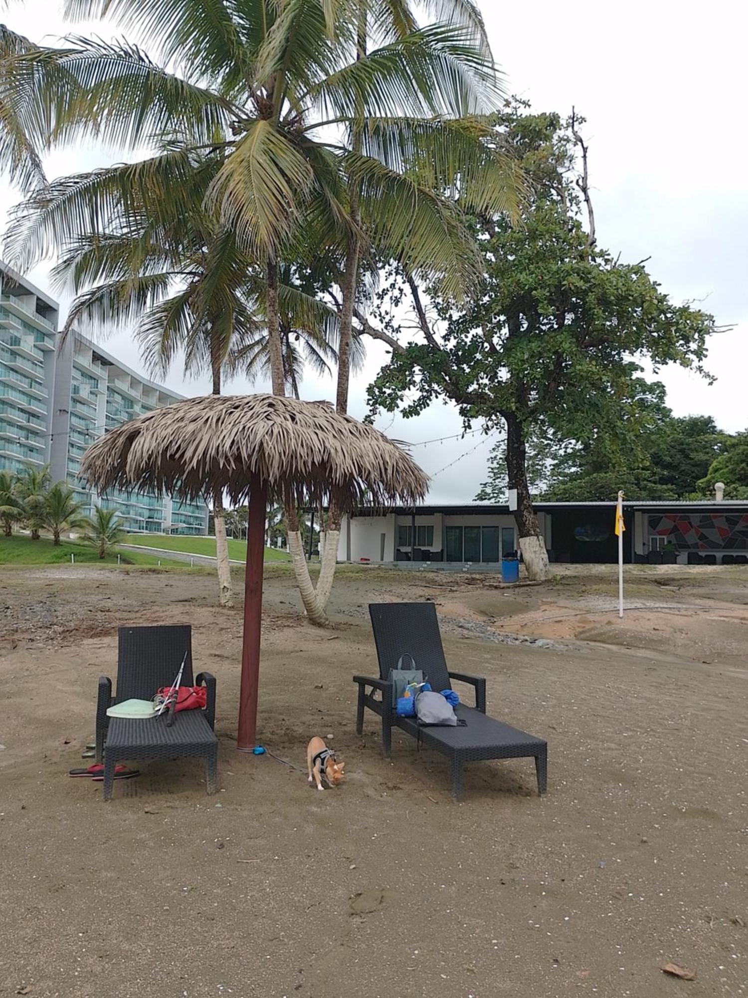 Apartamento En Balabeach Maria Chiquita In Front Of The Beach 2Hab Colón Szoba fotó